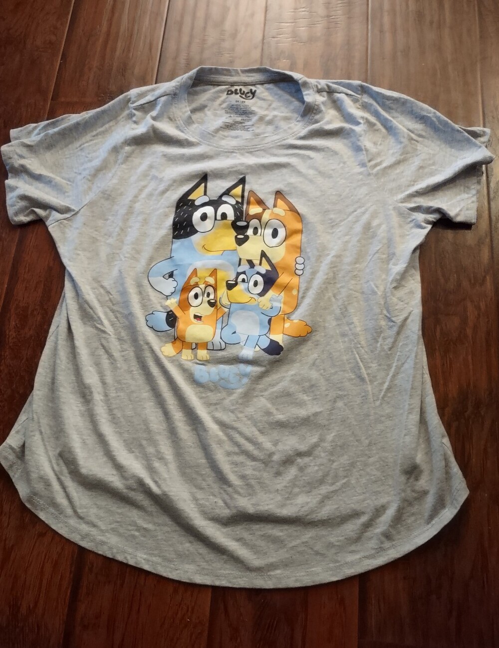 Bluey Family Graphic Tee - Light Gray Womens Short Sleeve